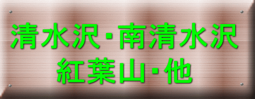 清水沢・南清水沢 紅葉山・他